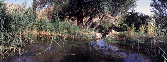 Scene from Khan's orchard in Upper Afaryan