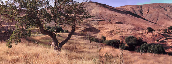 Scene from Upper Afaryan